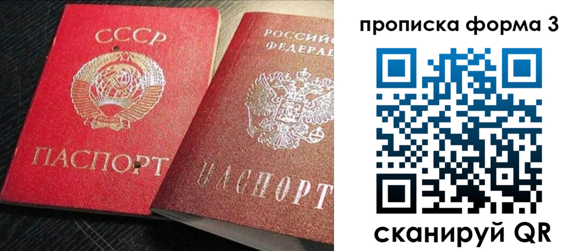 временная регистрация поиск в Павловске